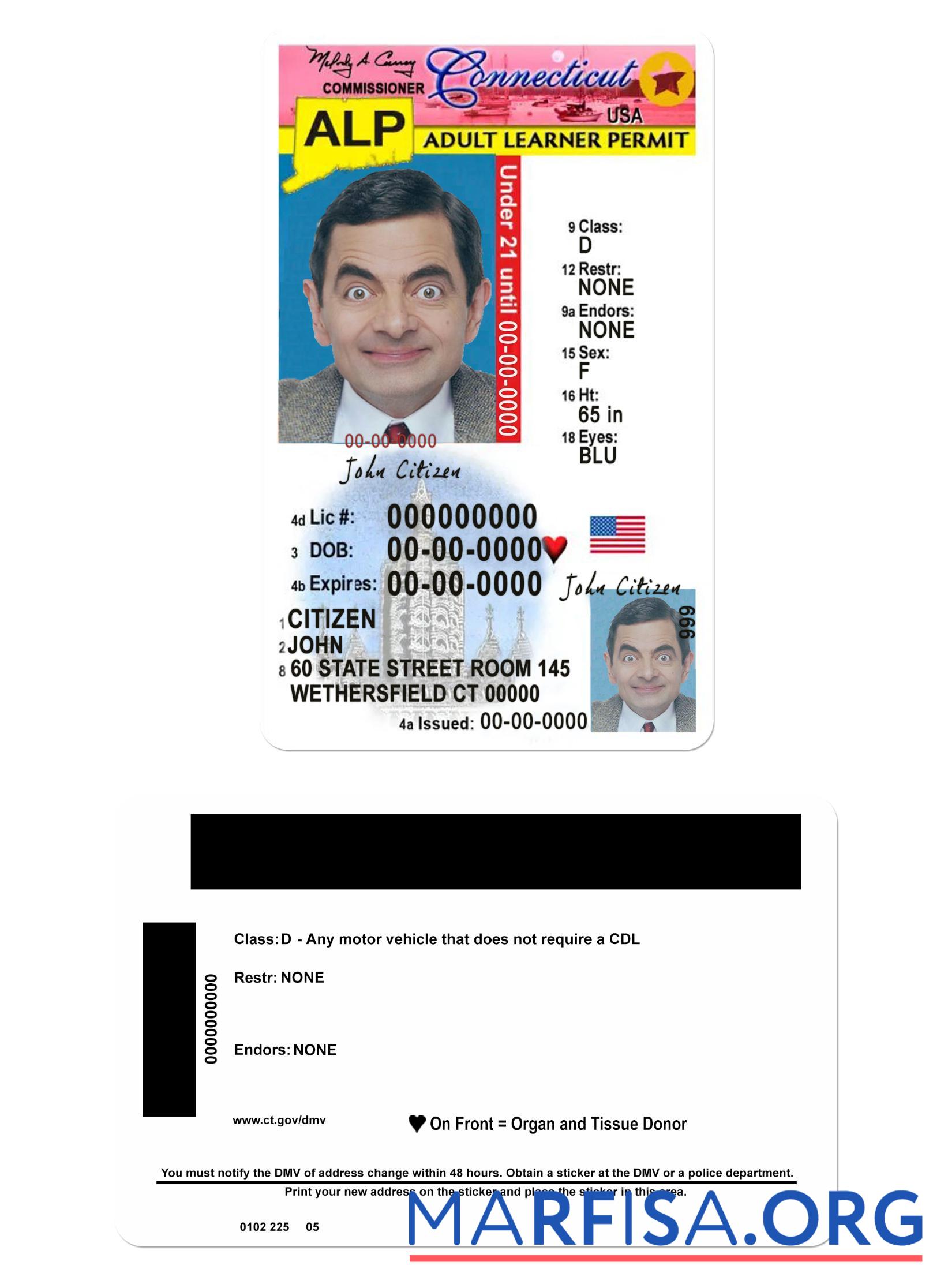Printable USA Connecticut driving license under 21 sample